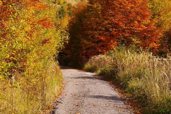 Ubytovanie Chaty Drevenice Oščadnica jesenná turistika